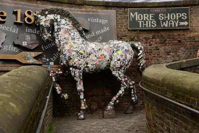 DSC_6087 (Large).JPG